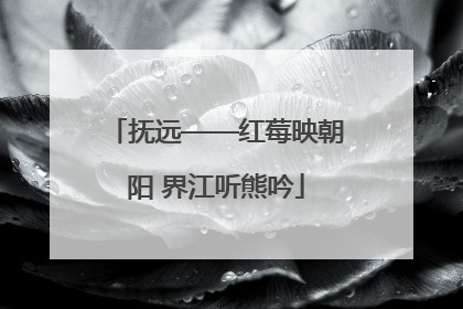 抚远——红莓映朝阳 界江听熊吟