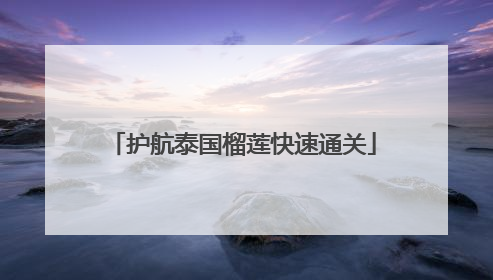 护航泰国榴莲快速通关