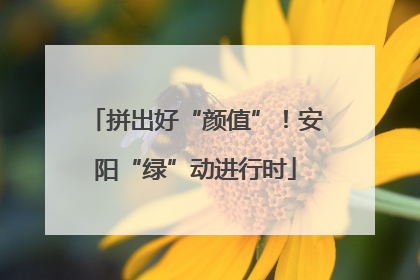 拼出好“颜值”！安阳“绿”动进行时
