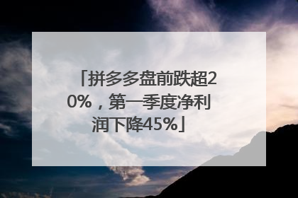 拼多多盘前跌超20%，第一季度净利润下降45%