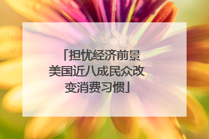 担忧经济前景 美国近八成民众改变消费习惯
