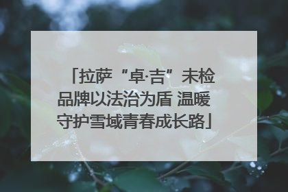 拉萨“卓·吉”未检品牌以法治为盾 温暖守护雪域青春成长路
