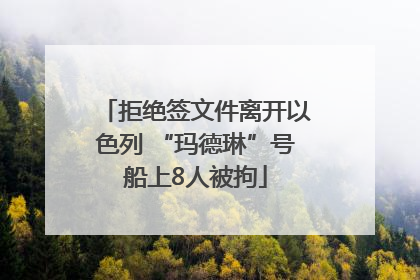 拒绝签文件离开以色列 “玛德琳”号船上8人被拘