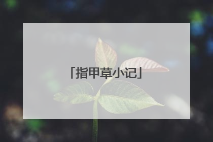 指甲草小记