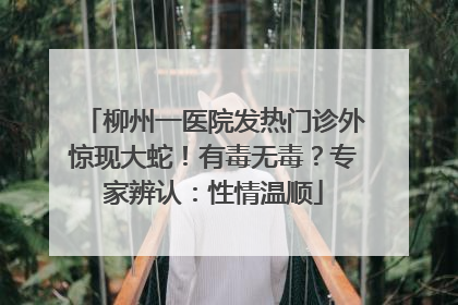 柳州一医院发热门诊外惊现大蛇！有毒无毒？专家辨认：性情温顺