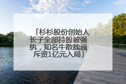 杉杉股份创始人长子全部持股被强执，知名牛散魏巍斥资1亿元入局