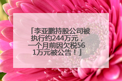 李亚鹏持股公司被执行约244万元，一个月前因欠税561万元被公告！