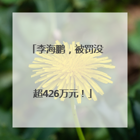 李海鹏，被罚没超426万元！