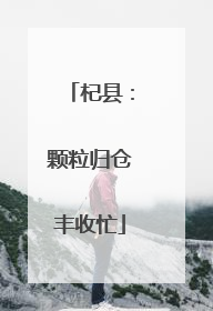 杞县：颗粒归仓丰收忙