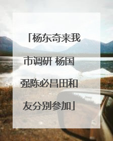 杨东奇来我市调研 杨国强陈必昌田和友分别参加