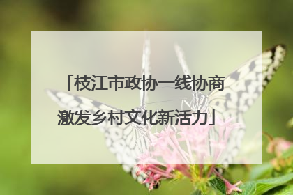 枝江市政协一线协商激发乡村文化新活力