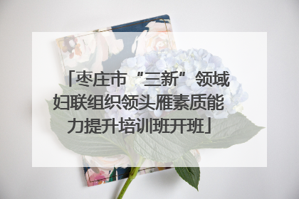 枣庄市“三新”领域妇联组织领头雁素质能力提升培训班开班