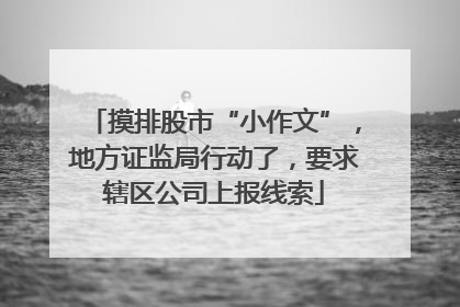 摸排股市“小作文”，地方证监局行动了，要求辖区公司上报线索