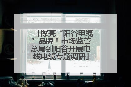 擦亮“阳谷电缆”品牌！市场监管总局到阳谷开展电线电缆专题调研