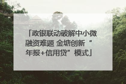 政银联动破解中小微融资难题 金塘创新“年报+信用贷”模式