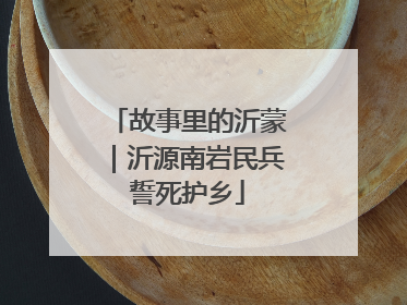 故事里的沂蒙｜沂源南岩民兵誓死护乡