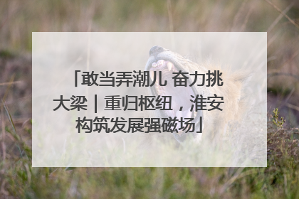 敢当弄潮儿 奋力挑大梁｜重归枢纽，淮安构筑发展强磁场