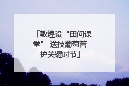敦煌设“田间课堂” 送技葡萄管护关键时节