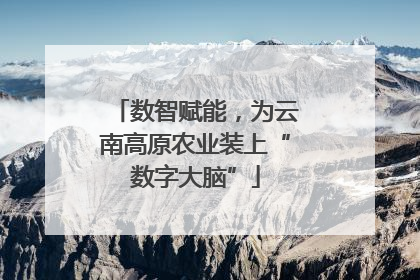数智赋能，为云南高原农业装上“数字大脑”
