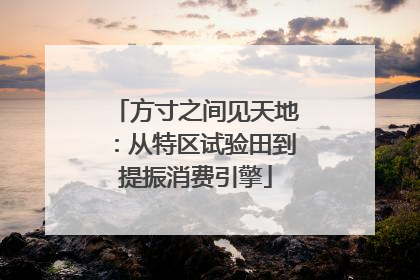 方寸之间见天地：从特区试验田到提振消费引擎