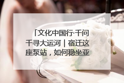 文化中国行·千问千寻大运河｜宿迁这座泵站，如何稳坐亚洲第一宝座？