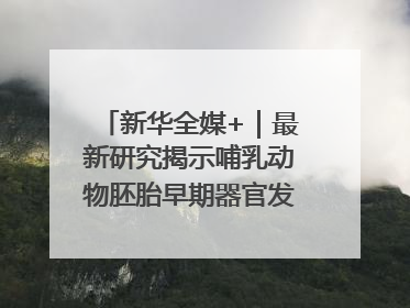 新华全媒+｜最新研究揭示哺乳动物胚胎早期器官发育“密码”