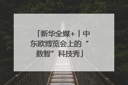 新华全媒+丨中东欧博览会上的“数智”科技秀