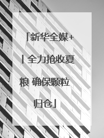 新华全媒+丨全力抢收夏粮 确保颗粒归仓