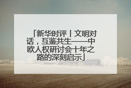 新华时评丨文明对话，互鉴共生——中欧人权研讨会十年之路的深刻启示