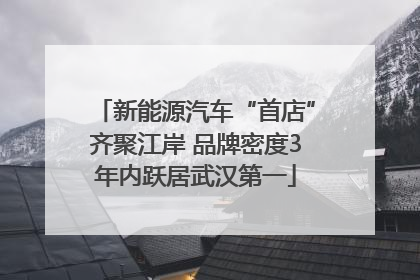 新能源汽车“首店”齐聚江岸 品牌密度3年内跃居武汉第一