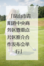 昆山市青阳港中央商务区暨重点片区推介合作发布会举行