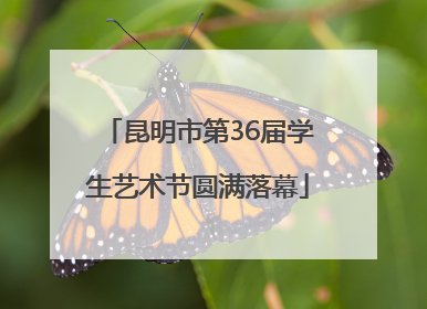 昆明市第36届学生艺术节圆满落幕