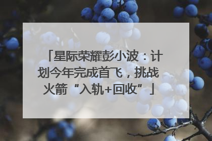 星际荣耀彭小波：计划今年完成首飞，挑战火箭“入轨+回收”