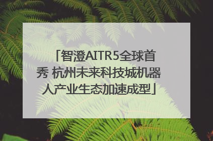 智澄AITR5全球首秀 杭州未来科技城机器人产业生态加速成型