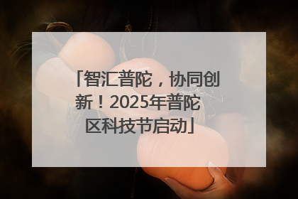 智汇普陀，协同创新！2025年普陀区科技节启动
