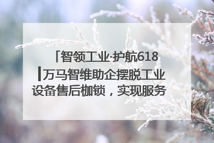 智领工业·护航618┃万马智维助企摆脱工业设备售后枷锁，实现服务与效能价值共振！