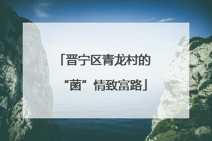 晋宁区青龙村的“菌”情致富路