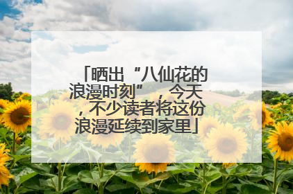 晒出“八仙花的浪漫时刻”，今天，不少读者将这份浪漫延续到家里