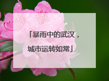 暴雨中的武汉，城市运转如常