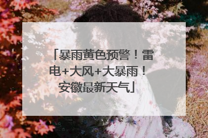 暴雨黄色预警！雷电+大风+大暴雨！安徽最新天气
