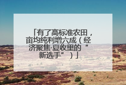 有了高标准农田，亩均纯利增六成（经济聚焦·夏收里的“新选手”）