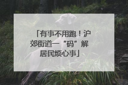 有事不用跑！沪郊街道一“码”解居民烦心事