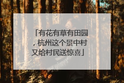 有花有草有田园，杭州这个景中村又给村民送惊喜