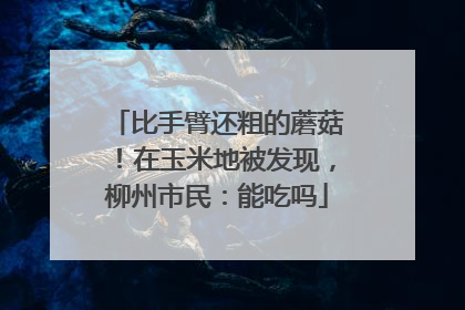 比手臂还粗的蘑菇！在玉米地被发现，柳州市民：能吃吗
