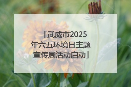武威市2025年六五环境日主题宣传周活动启动