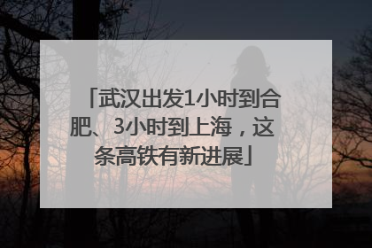 武汉出发1小时到合肥、3小时到上海，这条高铁有新进展