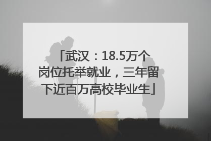 武汉：18.5万个岗位托举就业，三年留下近百万高校毕业生
