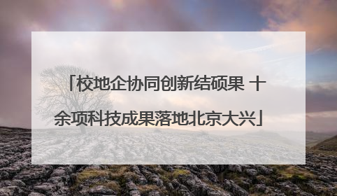 校地企协同创新结硕果 十余项科技成果落地北京大兴