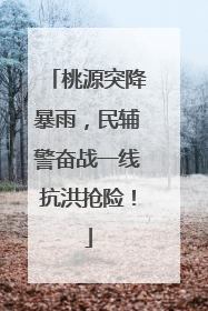 桃源突降暴雨，民辅警奋战一线抗洪抢险！