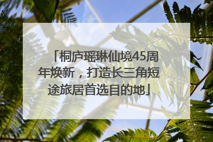 桐庐瑶琳仙境45周年焕新，打造长三角短途旅居首选目的地